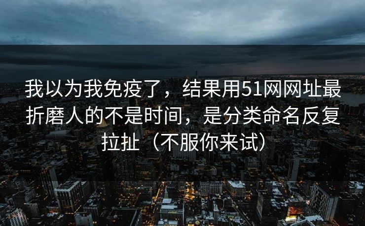 我以为我免疫了，结果用51网网址最折磨人的不是时间，是分类命名反复拉扯（不服你来试）
